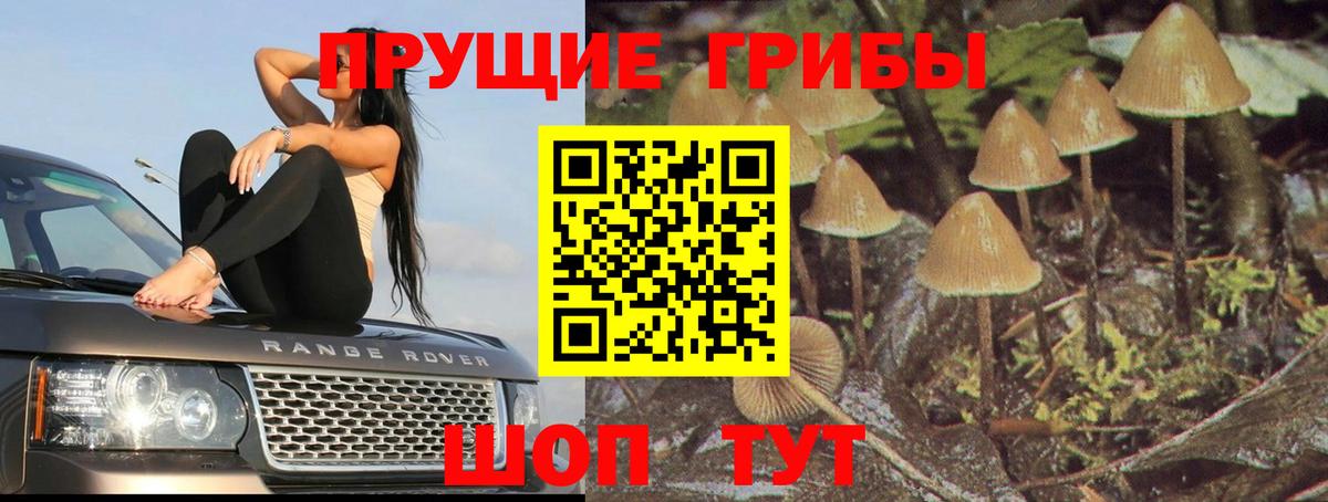 Псилоцибиновые грибы MAGIC MUSHROOMS  Вход с VPN  Ишимбай 